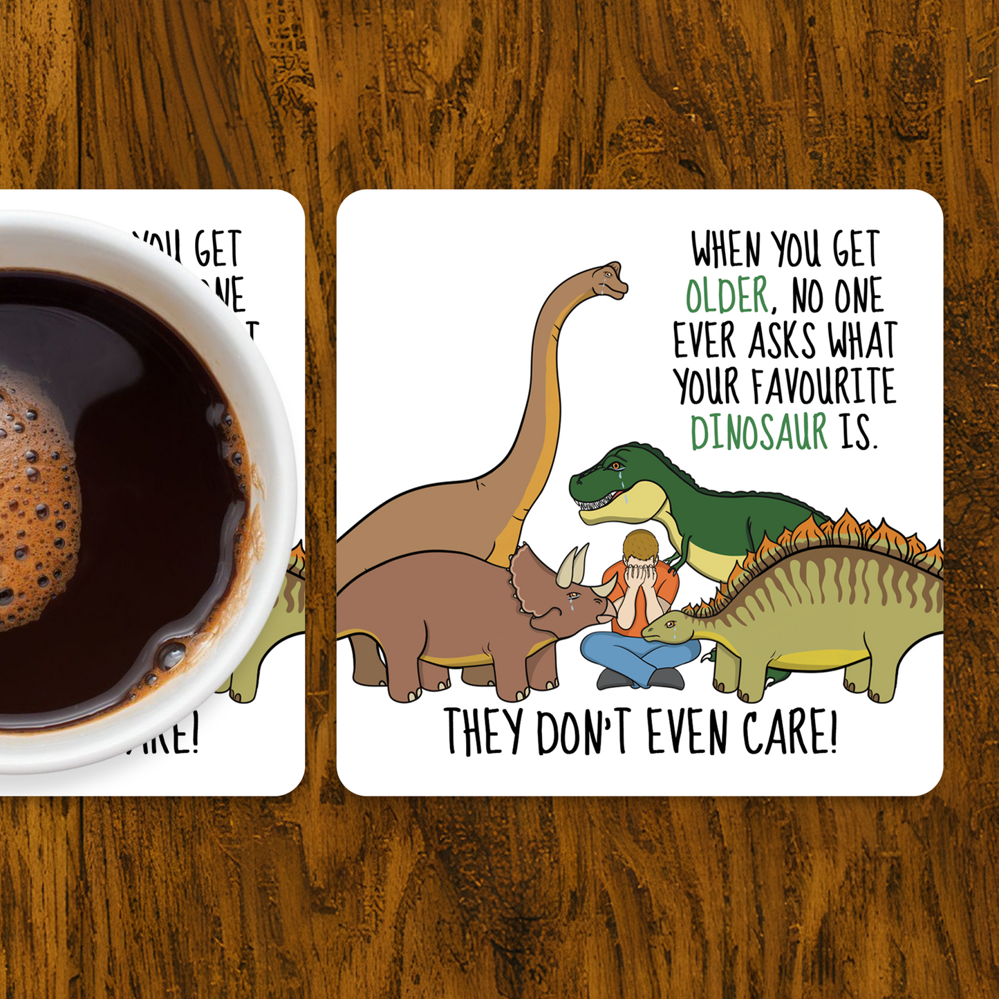 Funny Favourite Dinosaur Coaster